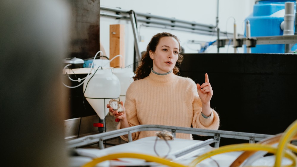 Sarah Schmidlin in lab experiments with Pacific oyster