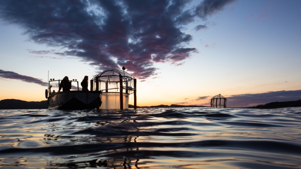 Michael Sswat | GEOMAR