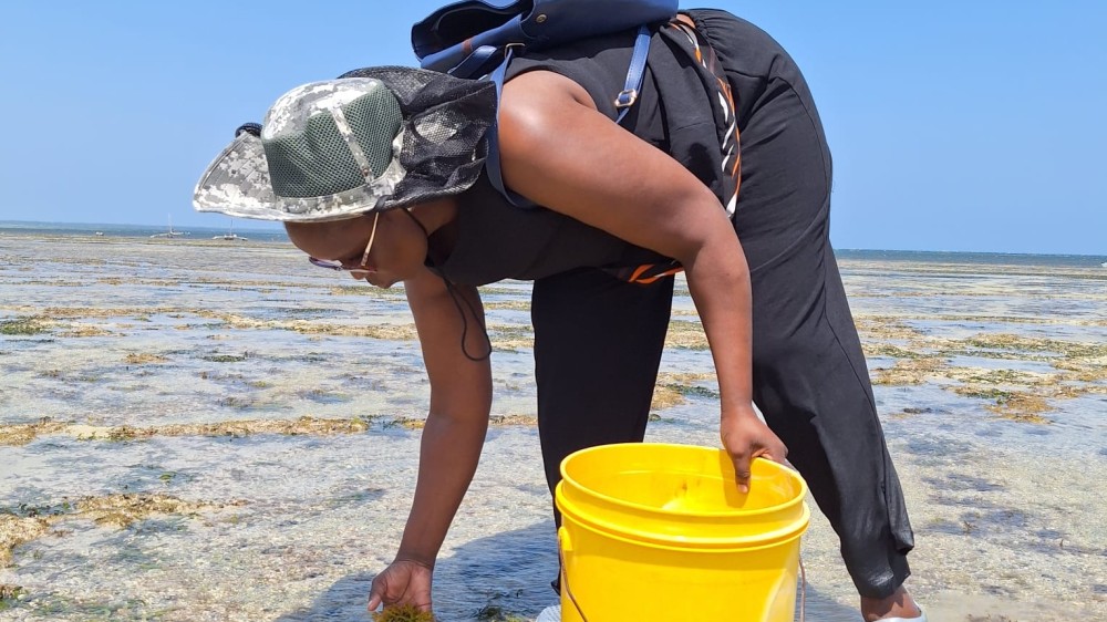 Fieldwork by Gladys Mwaka Holeh in Kenya