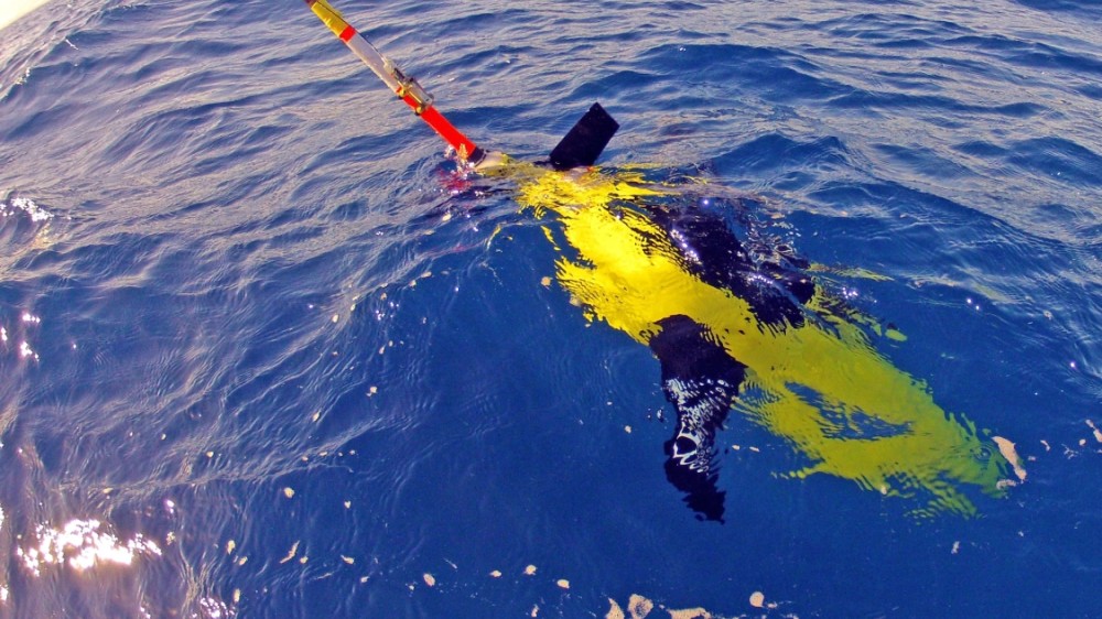 MISSION ATLANTIC aims for first integrated ecosystem assessment for the Atlantic Ocean