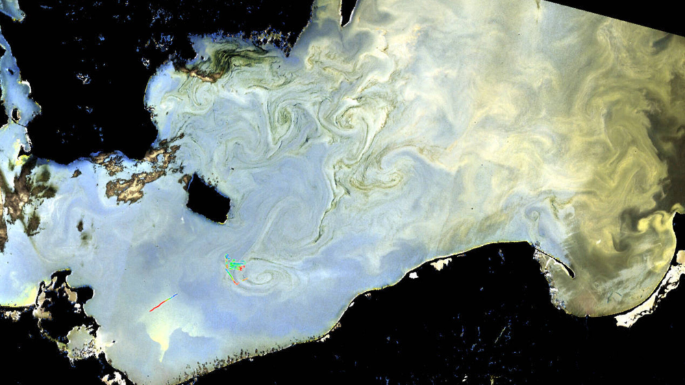 More harmful algal bloom impacts emerge amid rising seafood demand and coastal development  