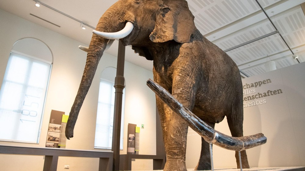 Samenwerkingsprotocol voor bescherming cultureel en paleontologisch onderwatererfgoed in Belgische Noordzee