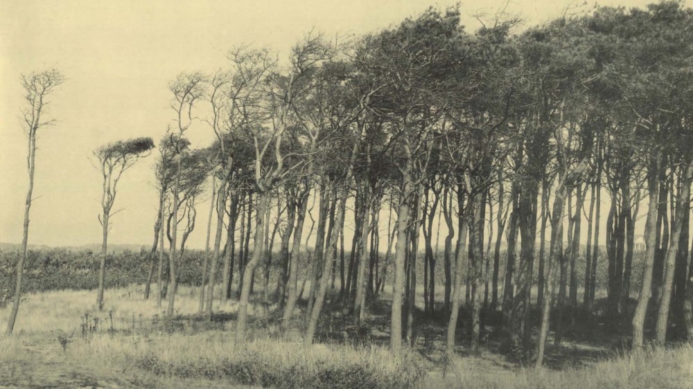 Nieuwe online Bibliografie Geschiedenis van de Middenkust