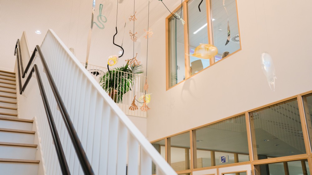 Kunst ontmoet wetenschap op VLIZ-ledendag