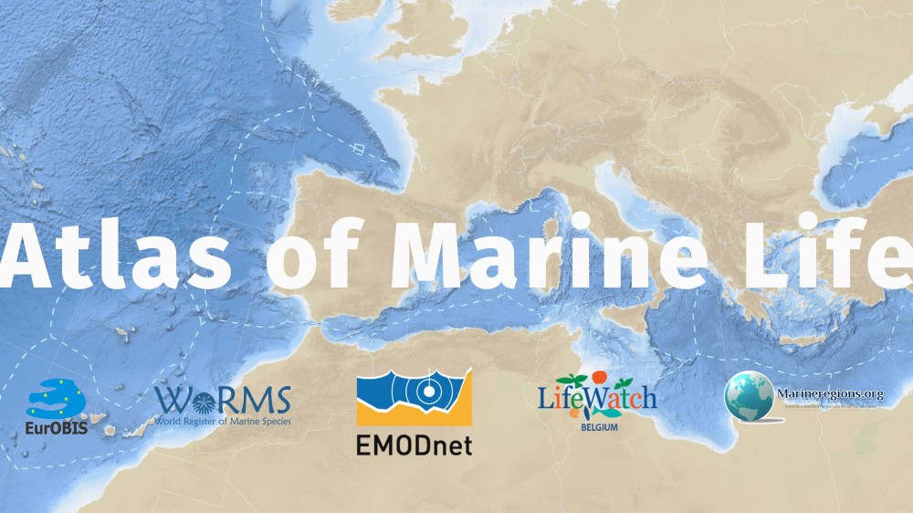 EMODnet lanceert ‘Atlas of European Marine Life’
