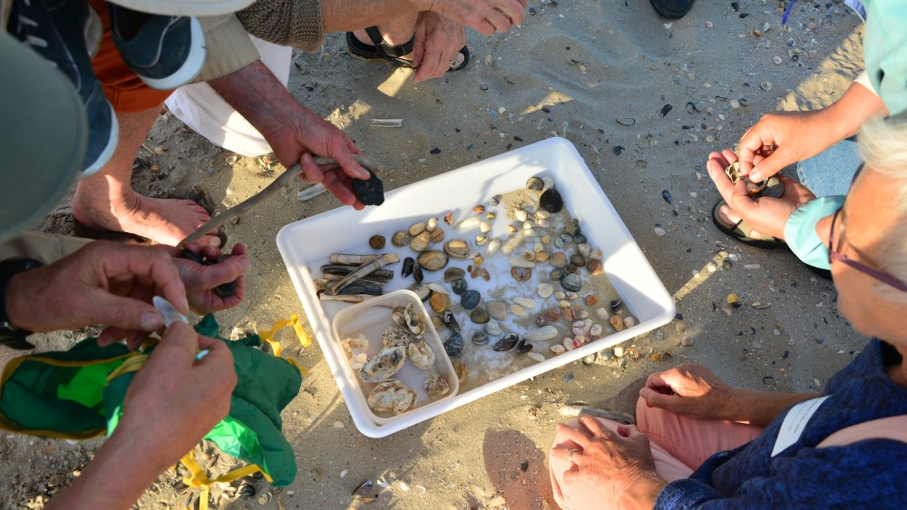 Marine Citizen Science: towards an engaged and ocean literate society