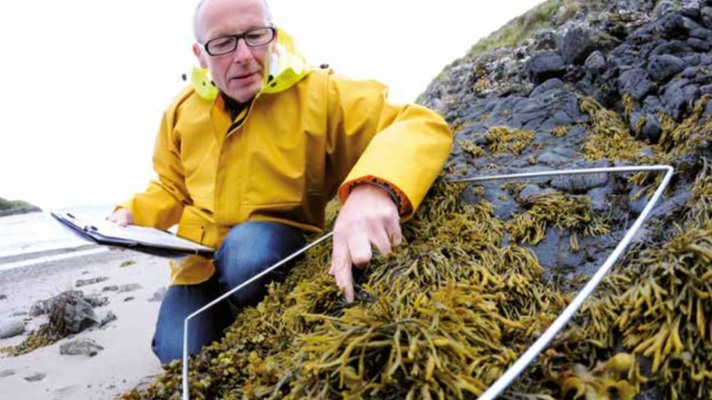 European Marine Board pleit voor meer coherente biologische oceaanobservaties in Europa