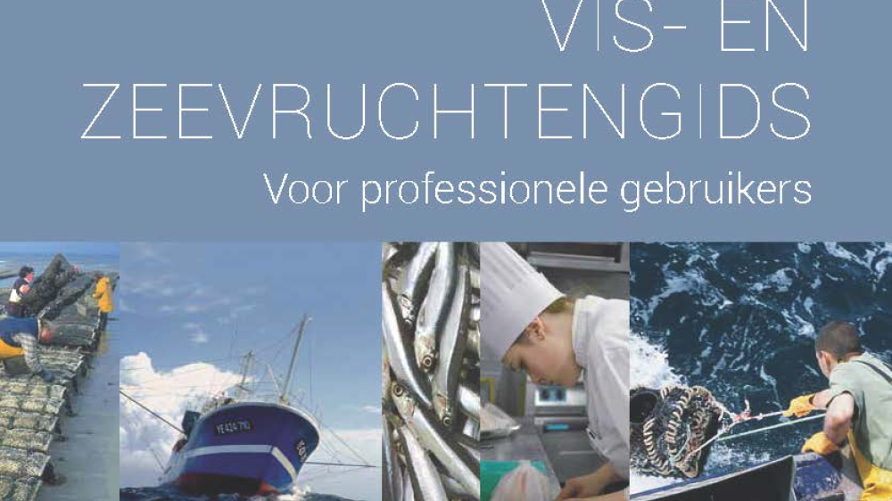 Nieuwe editie van de ‘Vis- en Zeevruchtengids – voor professionele gebruikers’