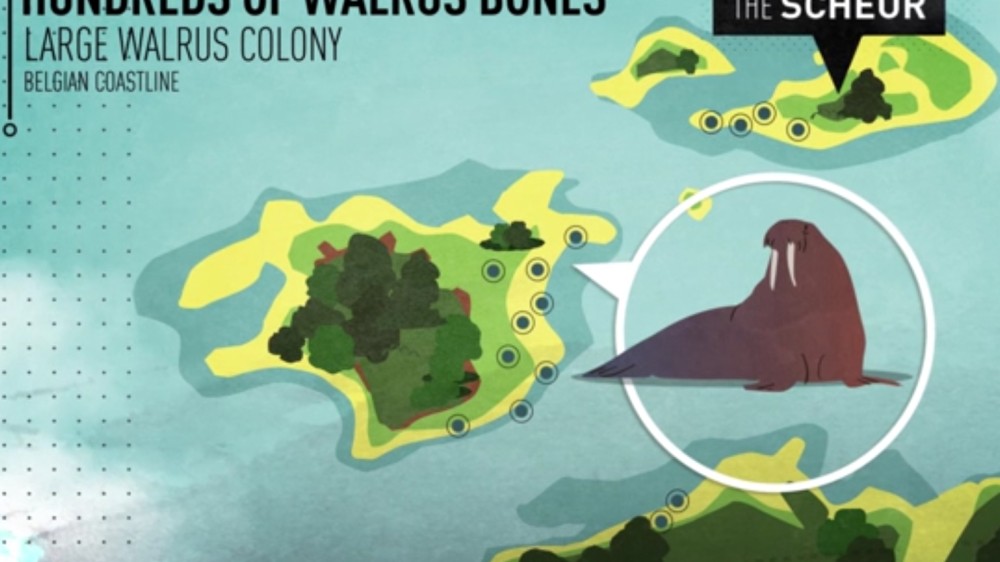 New animation shows story behind prehistoric drowned landscapes and fossils in the Belgian North Sea