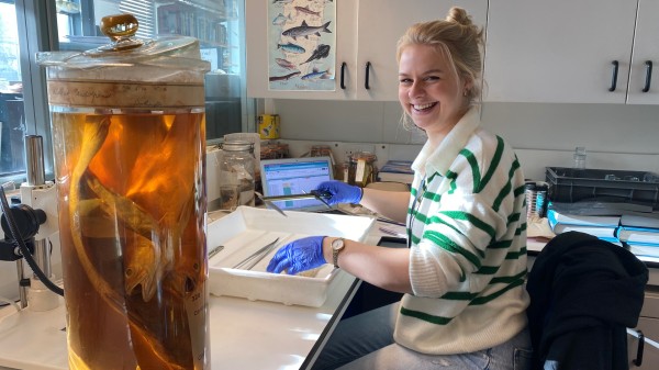 De Zee als Goed Doel ondersteunt jonge wetenschappers