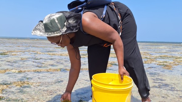 Fieldwork by Gladys Mwaka Holeh in Kenya