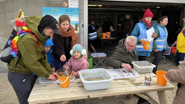 De Grote Schelpenteldag 2026 in Wenduine