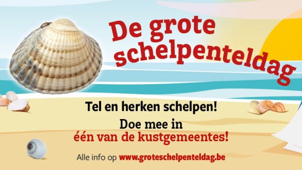 De Grote Schelpenteldag 2026 – Meer dan schelpen tellen!