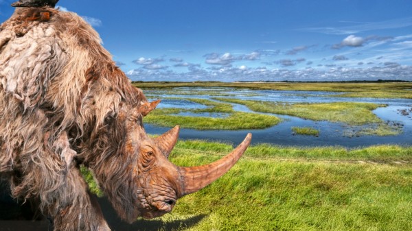 Unieke expo over verdwenen prehistorisch landschap onder de Noordzee 