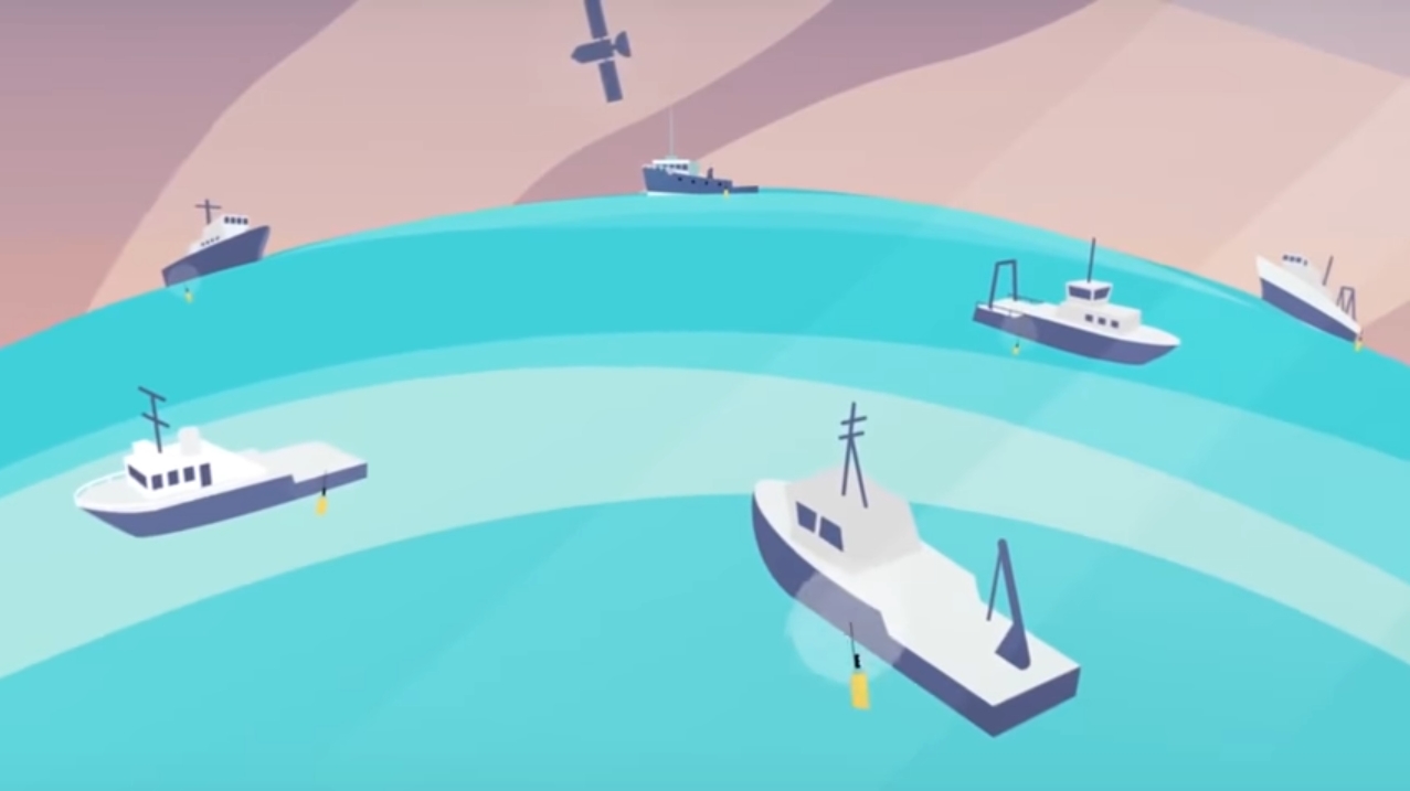 One planet One ocean