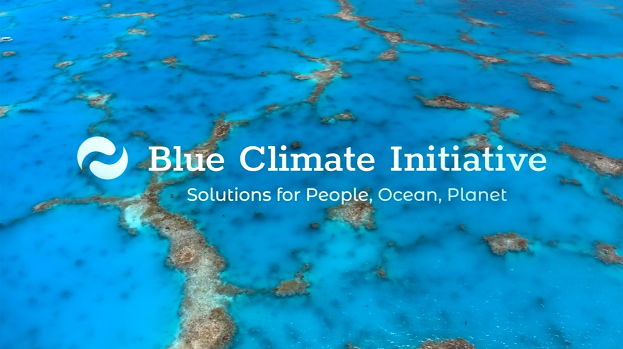 Ocean Innovation Prize - video call 