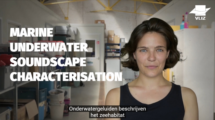 Still video Marine Underwater Soundscape Characterisation