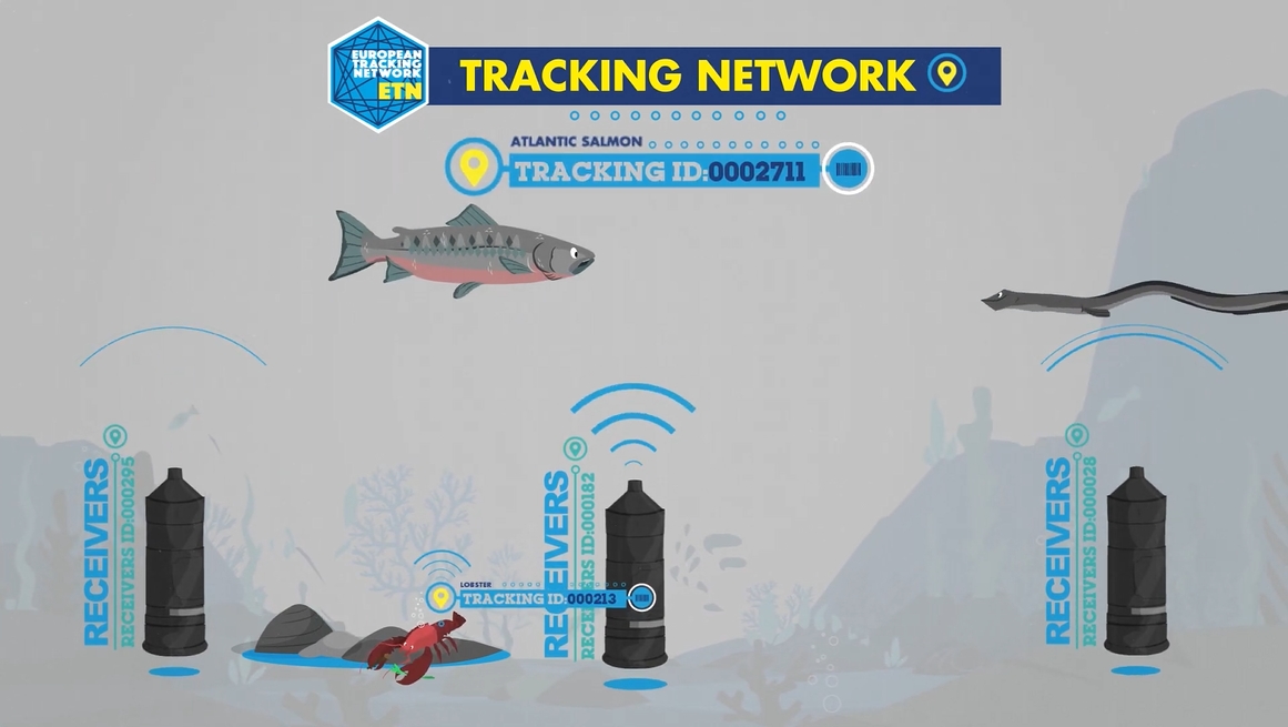 video European Tracking Network