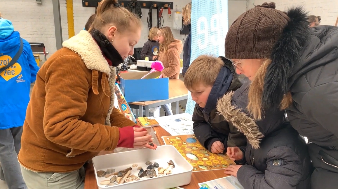 still aftermovie grote schelpenteldag