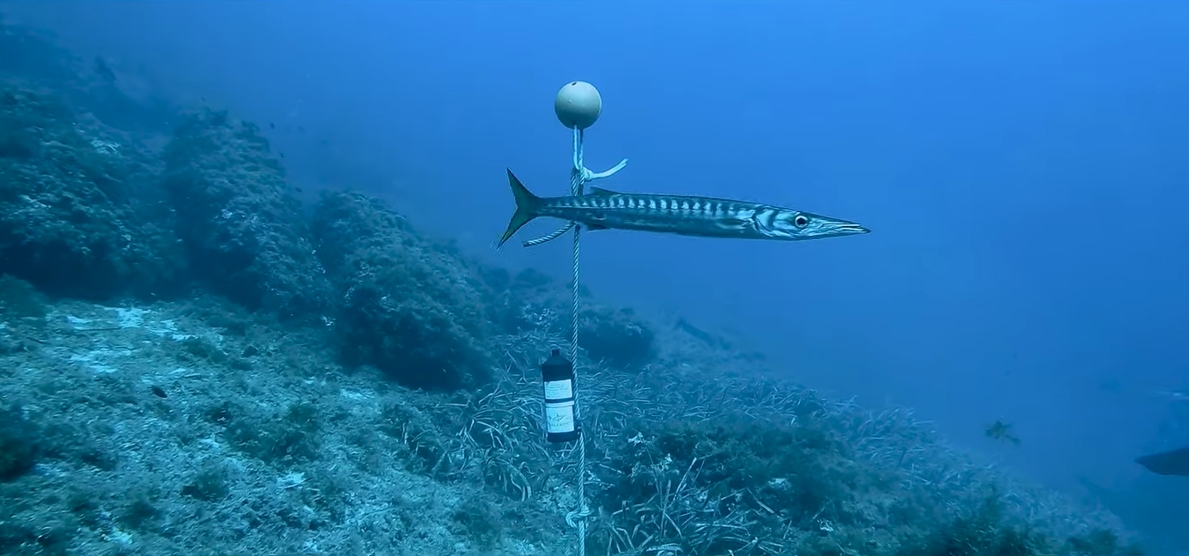 Screenshot video European Tracking Network