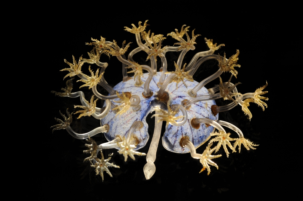 still video Isabelle Pirotte, curator-restaurator glas en keramiek