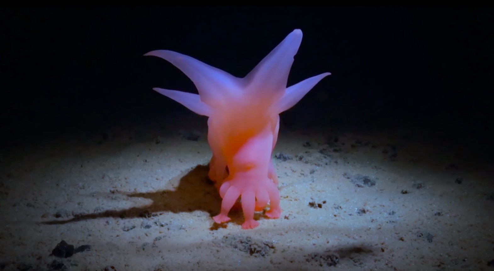 screenshot officiële trailer How deep is your love