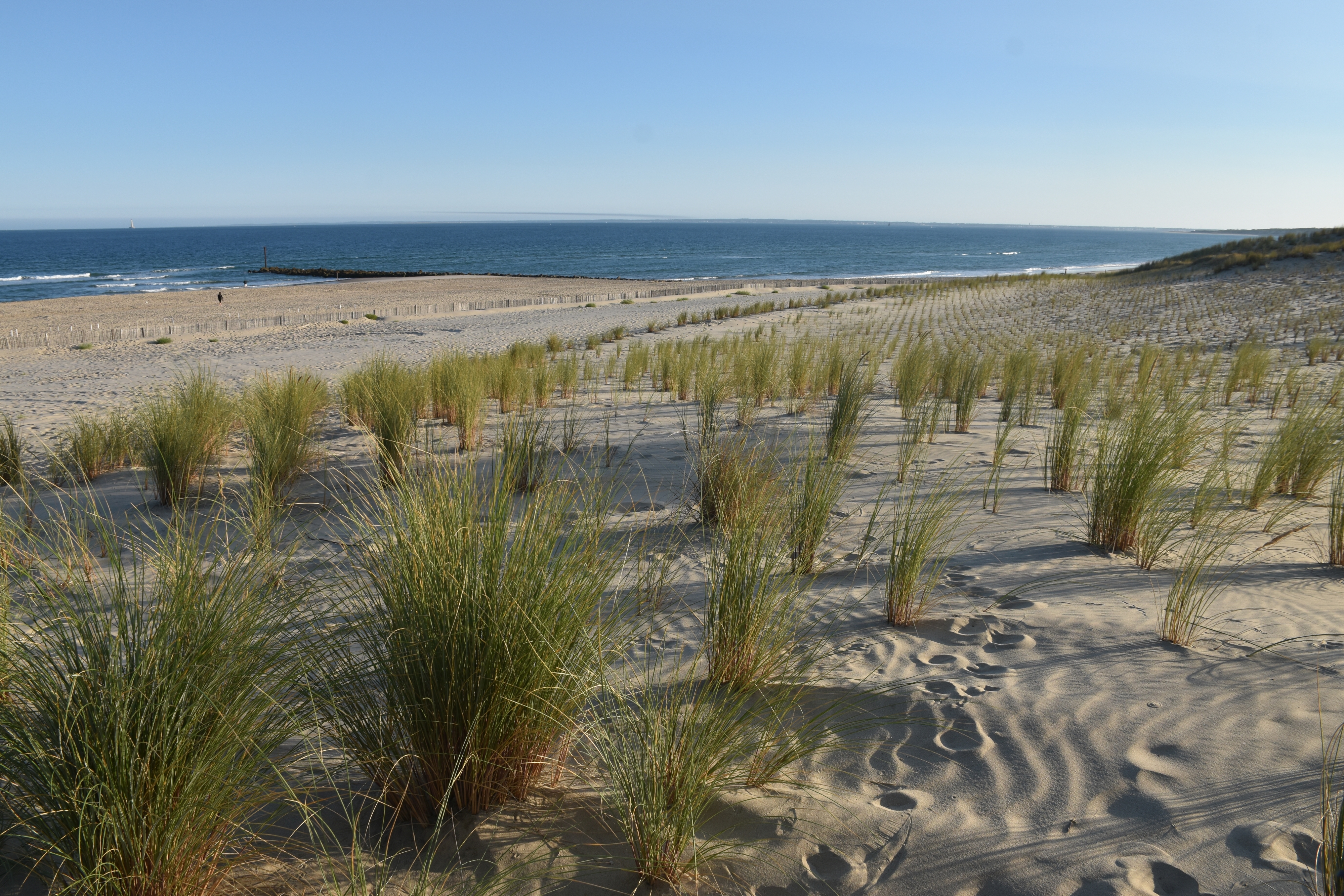 still uit video DuneFront