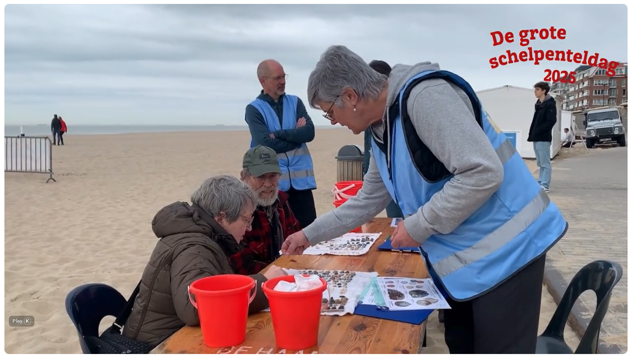 aftermovie Grote schelpenteldag 2025 