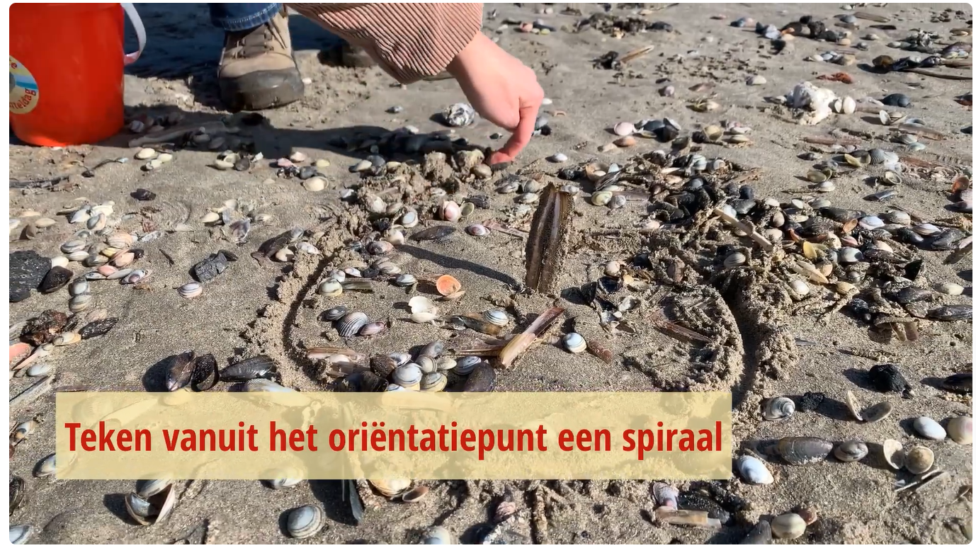 Methodiek van de Grote Schelpenteldag