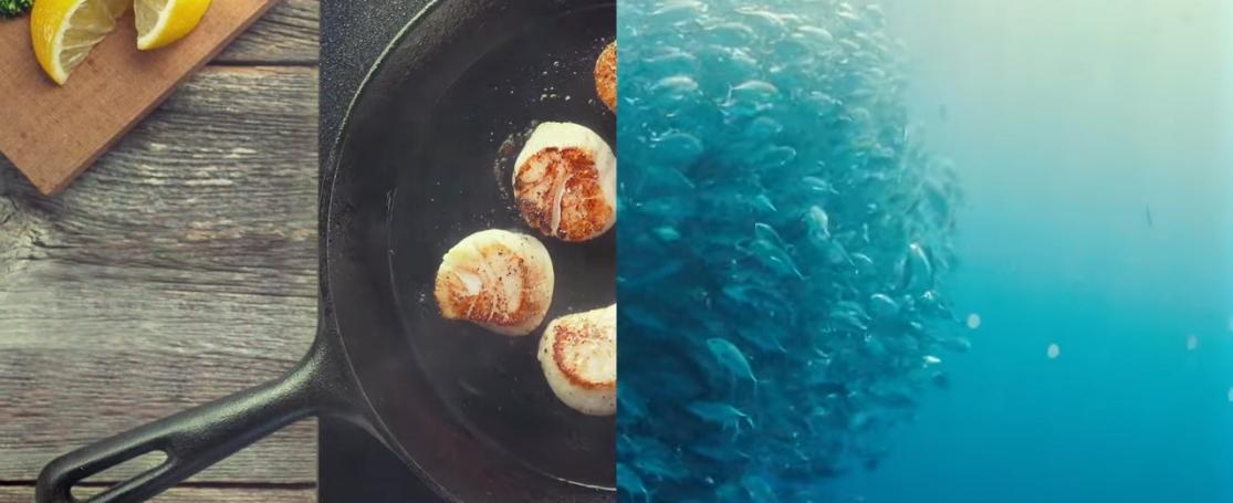 Bewuste visweek | © MSC