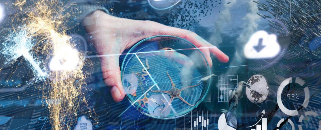 LifeWatch data cloud maritime industry