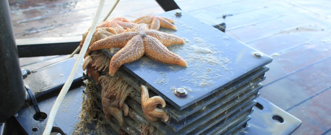 ARMS op RV Simon Stevin