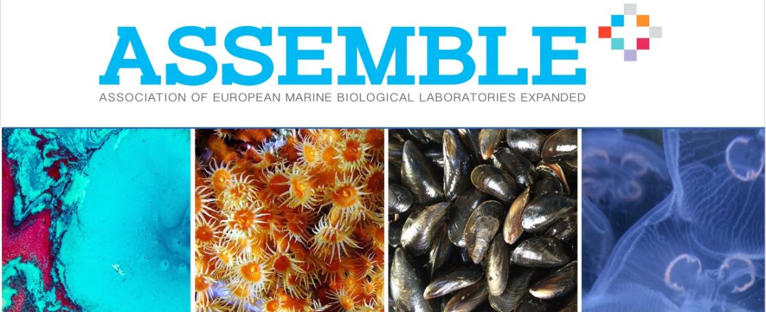 ASSEMBLE PLUS conference 2021