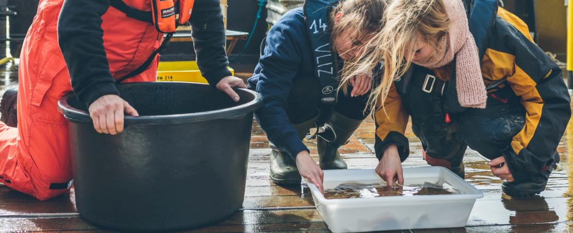 Burgerwetenschap VLIZ