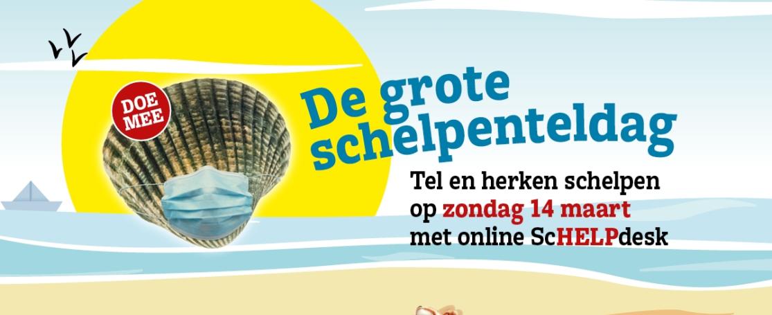 Grote Schelpenteldag 2021 coronaproof