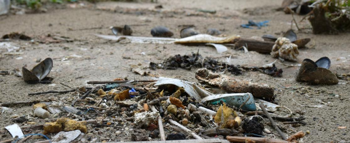 zwerfvuil op oever 