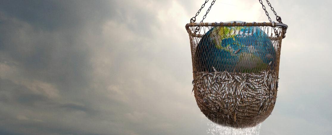 Seaspiracy: feiten of fabels?