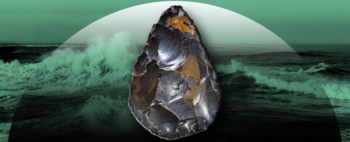 Expo Doggerland RMO Leiden