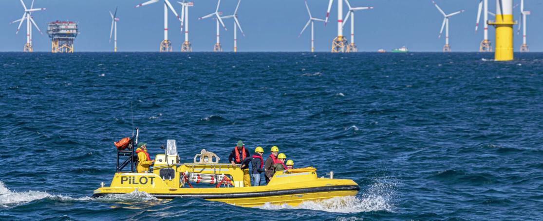 Blue Science and Technology Summer Training