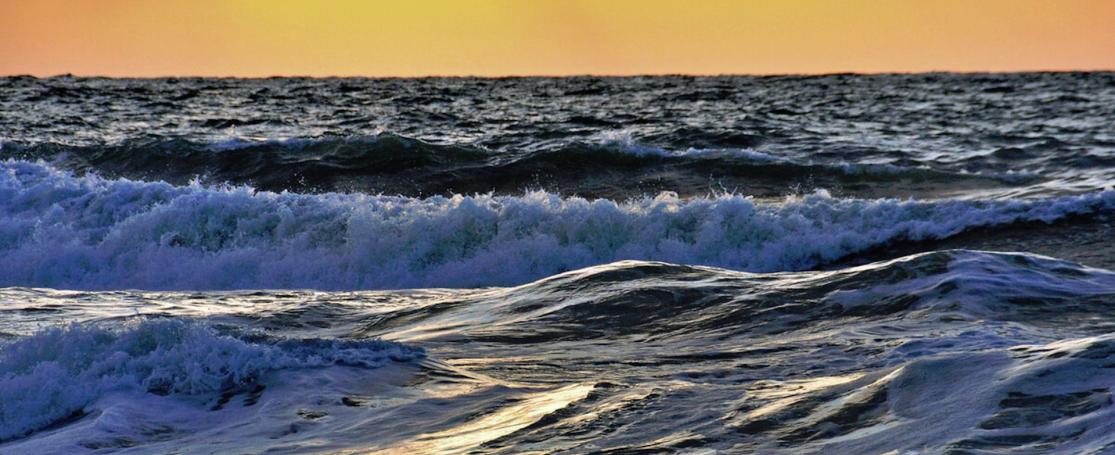 TTNS werkgroep Environmentally sustainable blue growth