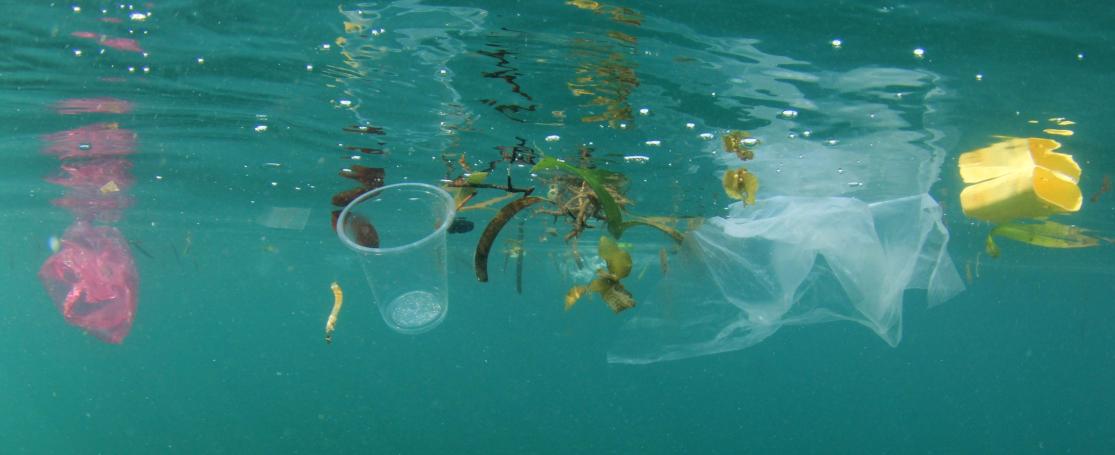 marine plastic pollution