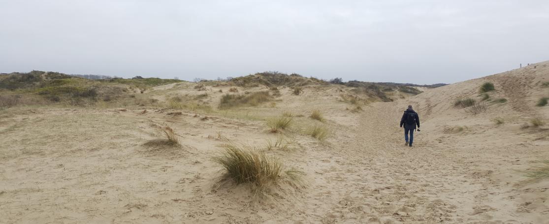 Westhoek reservaat stuifduin