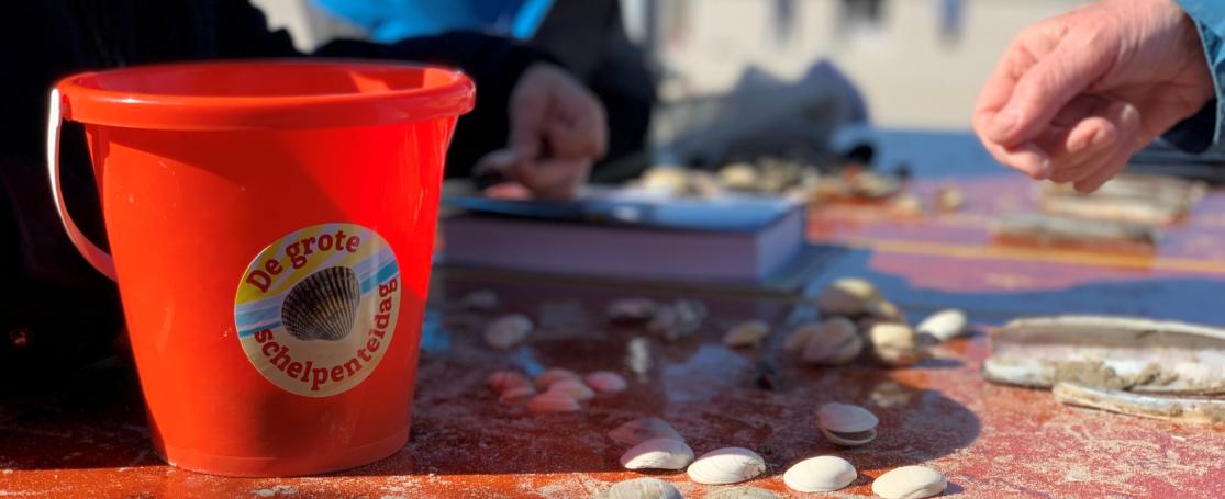 zonnige Grote Schelpenteldag 2022