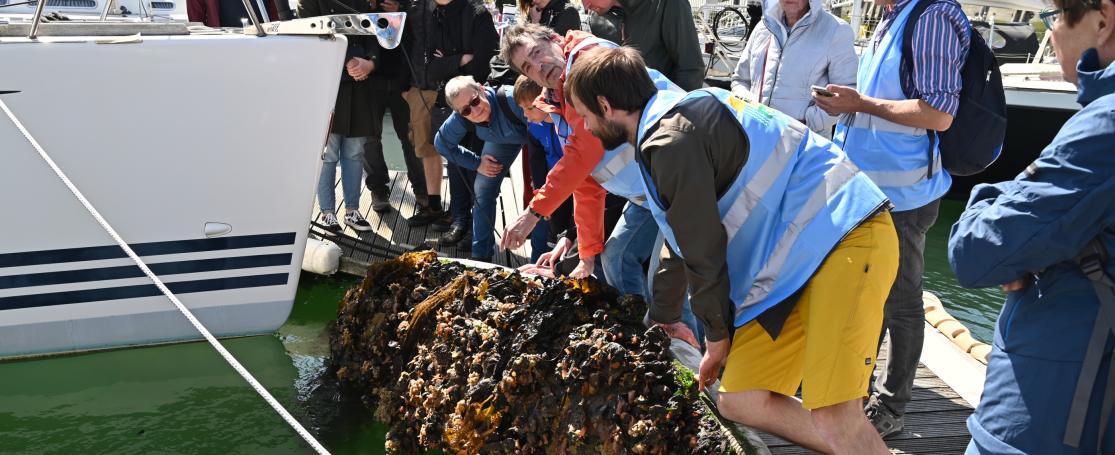 Burgerwetenschap aan de kust