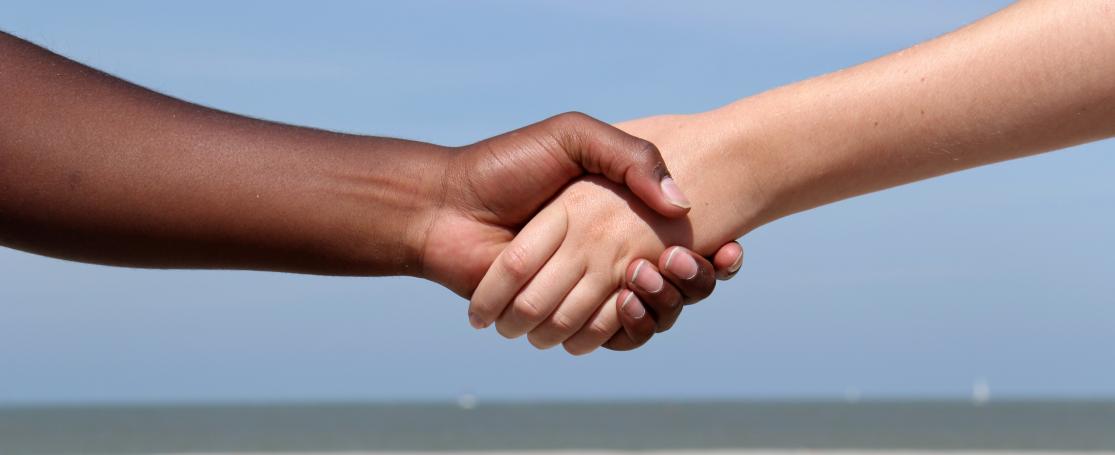 VLIZ is op zoek naar een junior International Liaison Officer