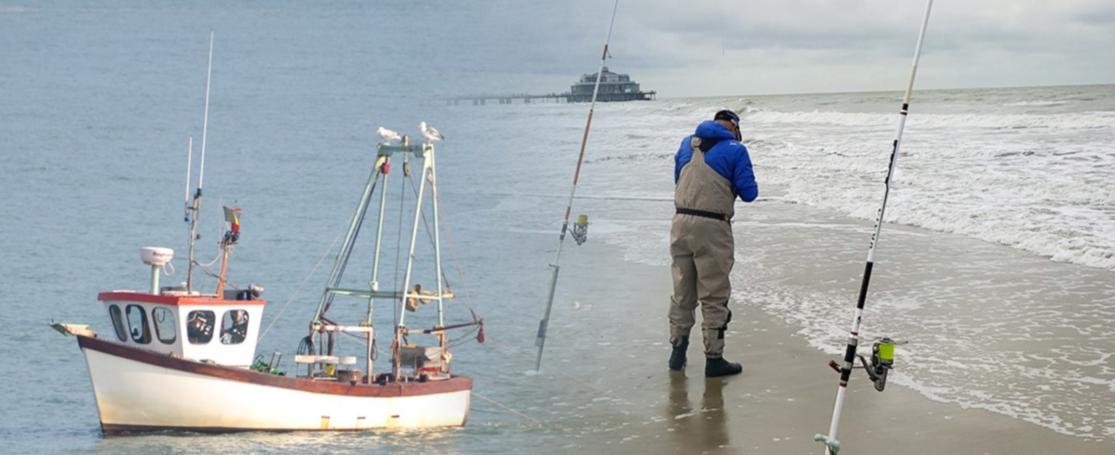 Recreatieve visserij in België