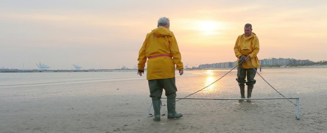 SeaWatchers aan het werk bij valavond
