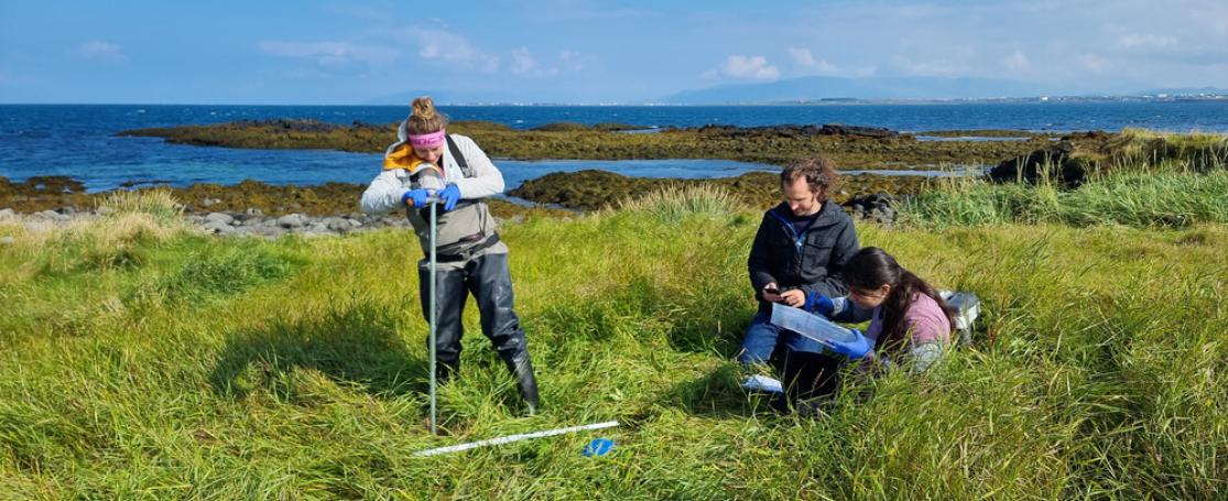 De TREC-expeditie in IJsland