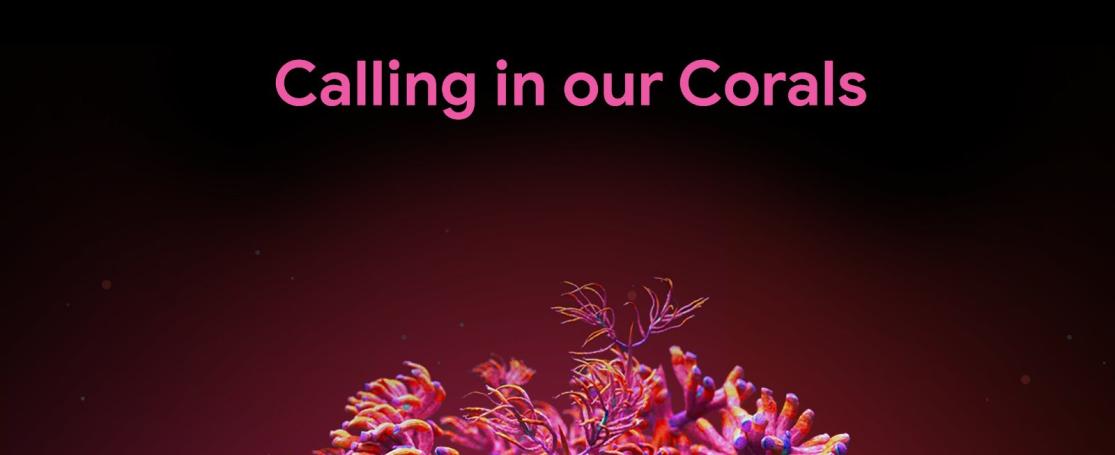 Calling in our Corals