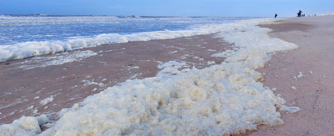 zeeschuim op het strand van De Haan maart 2023
